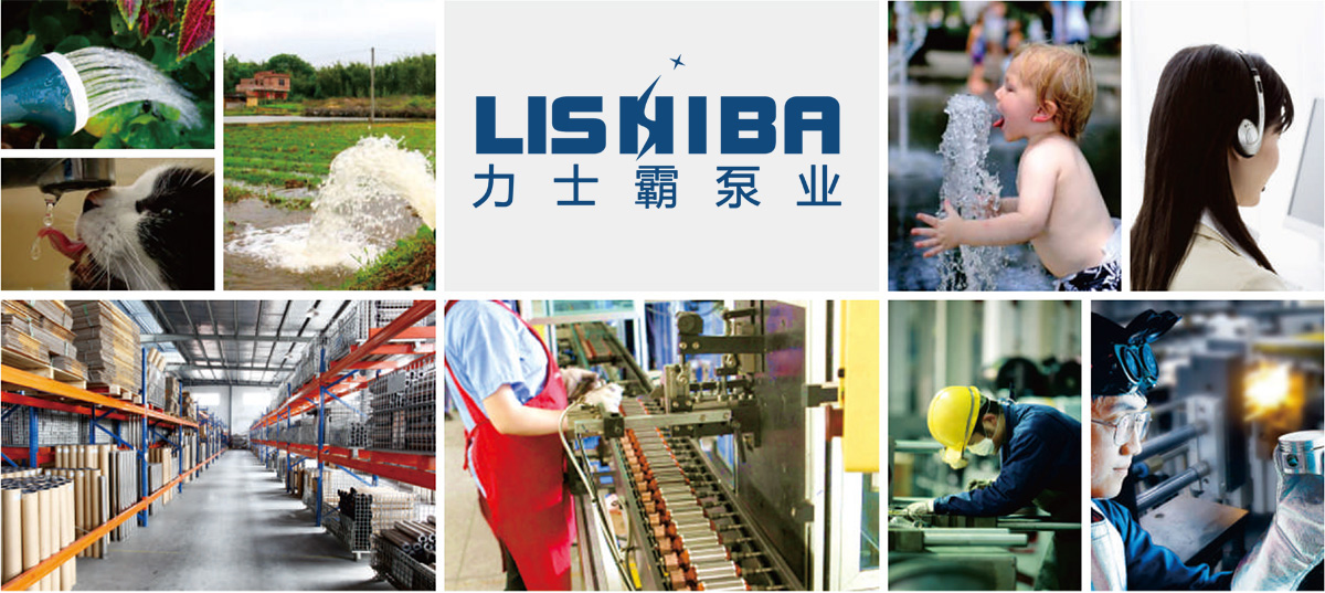 力士霸故事(图2) 力士霸故事