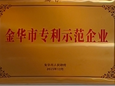 金华市专利示范企业