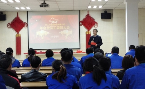 2020力士霸泵业年会暨员工表彰大会