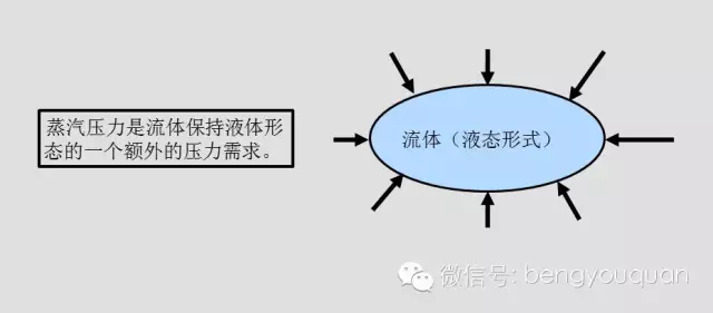 离心泵选型中的NPSH与汽蚀(图5)
