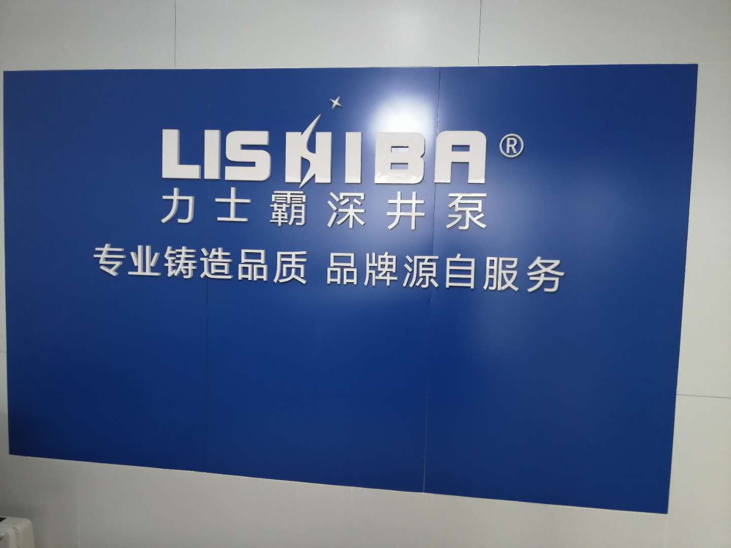 力士霸泵业-临沂经销商(图2)